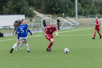 Bild 246 - F FSG Kaltenkirchen - SV Wahlstedt : Ergebnis: 6:1
